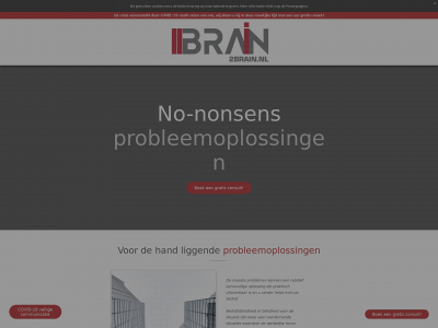 2brain.nl snapshot
