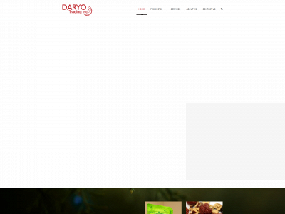 daryofood.com snapshot