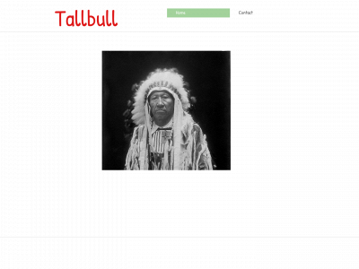 talbul.com snapshot