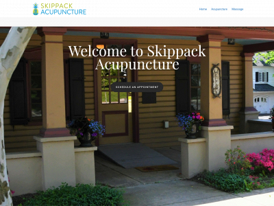 skippackacupuncture.com snapshot
