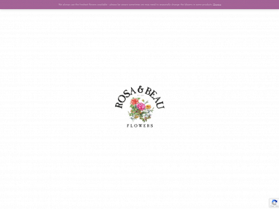 rosaandbeauflowers.com snapshot