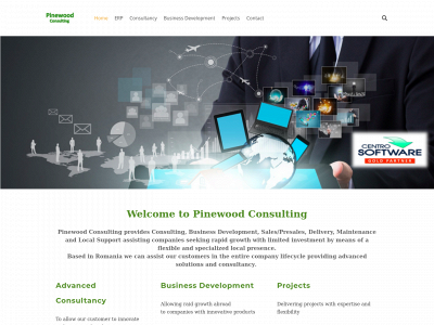 pinewood-consulting.com snapshot