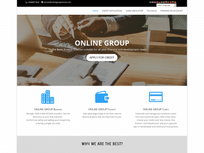 onlinegroupservice.com snapshot