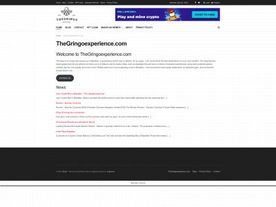 thegringoexperience.com snapshot