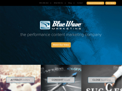 bluewavemarketing.com snapshot