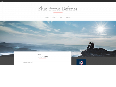 bluestonedefense.com snapshot