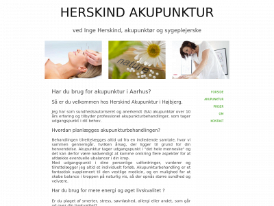 herskind-akupunktur.dk snapshot