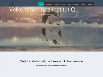 institut-c.dk snapshot