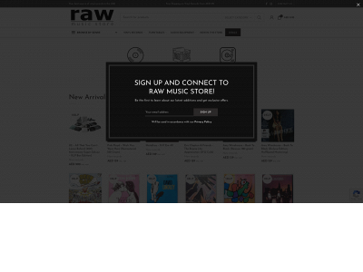 rawmusicstore.com snapshot