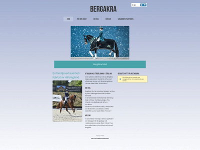 bergakra.com snapshot