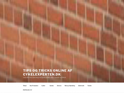 tipsogtricks-online.dk snapshot