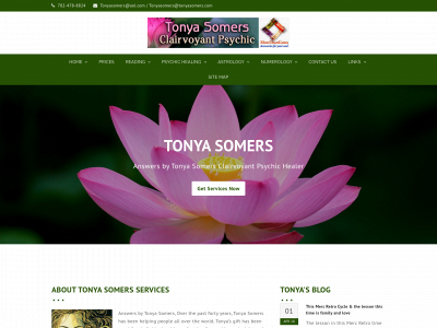 tonyasomers.com snapshot