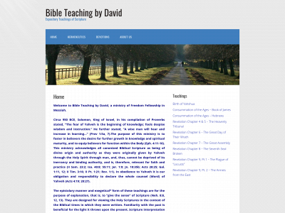 bibleteachingbydavid.com snapshot