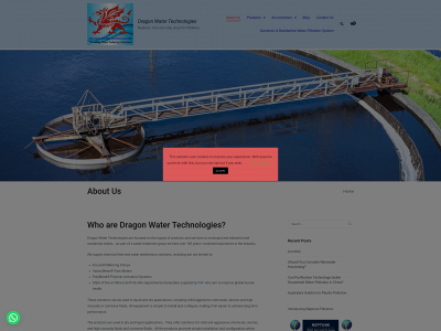 dragonwatertechnologies.com snapshot