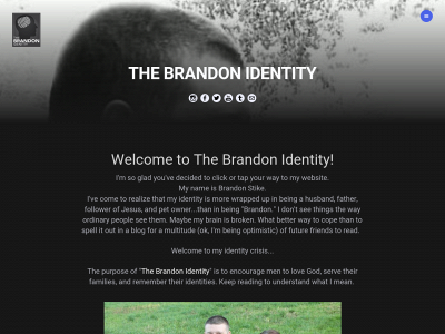 thebrandonidentity.com snapshot