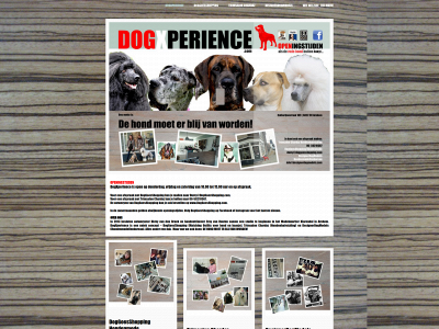 dogxperience.com snapshot