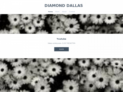 diamonddallas.weebly.com snapshot