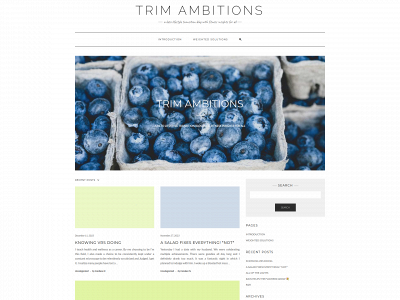 trimambitions.com snapshot