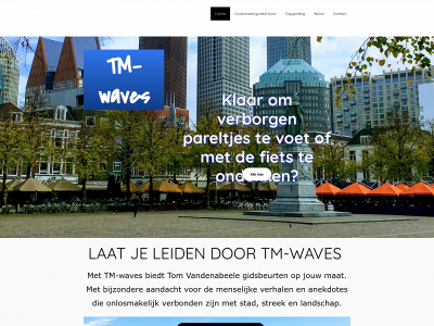 tm-waves.com snapshot
