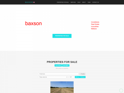 baxson.com snapshot