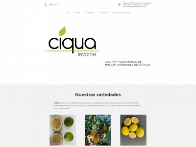 ciqua.es snapshot