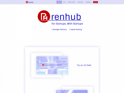 renhubgroup.com snapshot