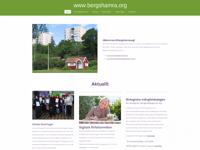 bergshamra.org snapshot