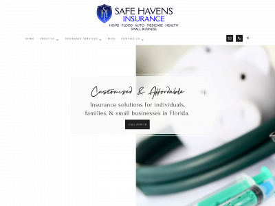 safehavensinsurance.com snapshot