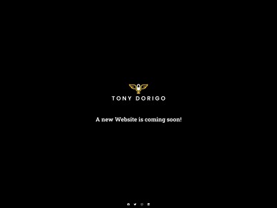 tonydorigo.com snapshot