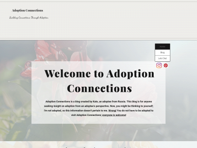 adoptionconnections.net snapshot