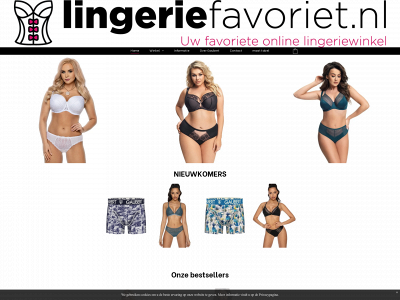 lingeriefavoriet.nl snapshot