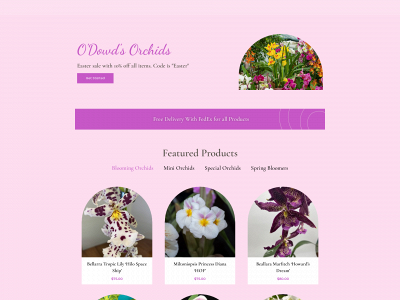 odowdsorchids.com snapshot