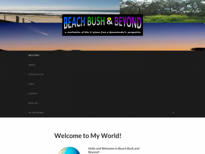 beachbushbeyond.com snapshot