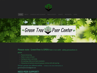 greentreepeercenter.weebly.com snapshot