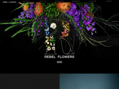 rebelflowers.be snapshot