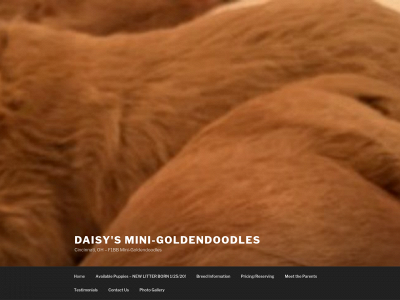 daisysminidoodles.com snapshot