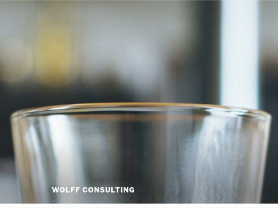wolffconsulting.co snapshot