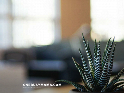 onebusymama.com snapshot