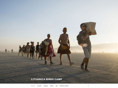 lituanicabirds.lt snapshot