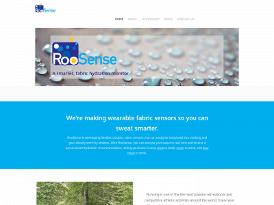 www.roosense.com snapshot