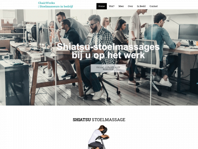 stoelmasseursinbedrijf.nl snapshot