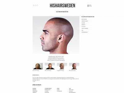 hishairsweden.se snapshot