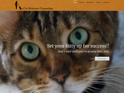 catbehaviorcounseling.com snapshot