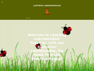 ladybuglabradoodles.com snapshot