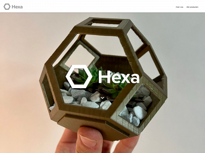 hexa.shopping snapshot
