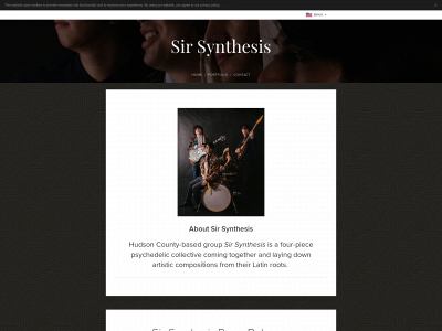 www.sirsynthesis.com snapshot