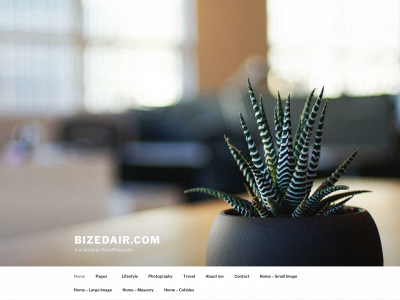 bizedair.com snapshot