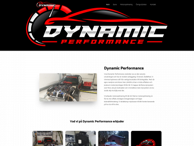 dynamicperformance.se snapshot