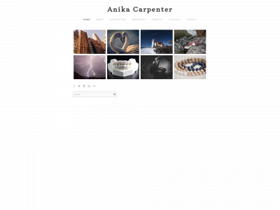 www.anikacarpenter.com snapshot