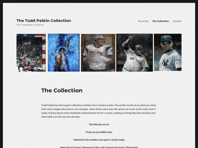 thetoddpatkincollection.com snapshot